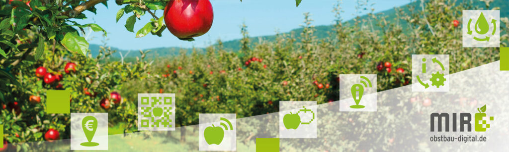 Ein Apfelbaum mit roten Früchten, dahinter ein Obstgarten und digitale Icons, Text: MIR - obstbau-digital.de.